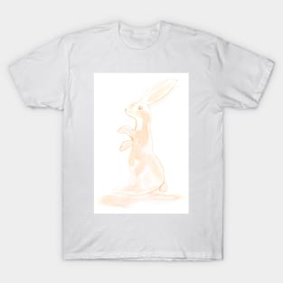 easter bunny, easter, rabbits, holiday, animal, illustration, watercolor T-Shirt